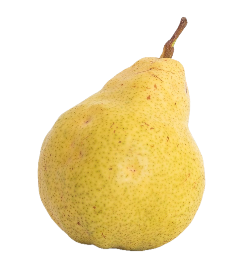 Pears — Fix Brothers Fruit Farm